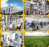 三匠通过原料精分细选、脱壳成型多级优选以及